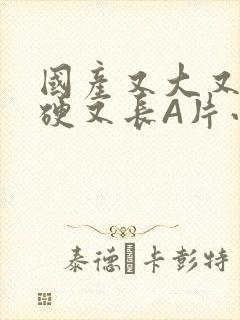 国产又大又粗又硬又长A片小说