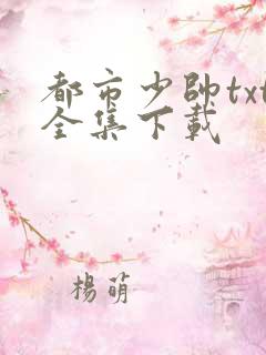 都市少帅txt全集下载