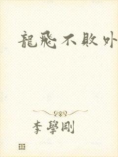 龙飞不败外传