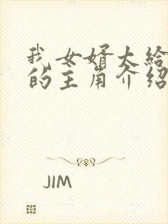 我女婿太给力了的主角介绍