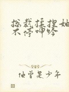 总裁揉捏她两乳不停呻吟