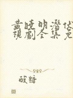 黄晓明潜伏者电视剧全集免费观看