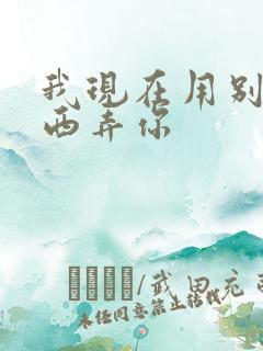 我现在用别的东西弄你