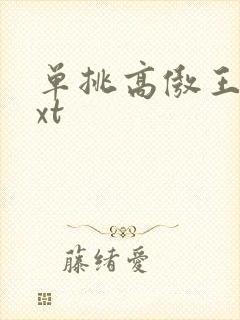 单挑高傲王子txt