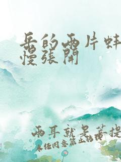 岳的两片蚌肉慢慢张开