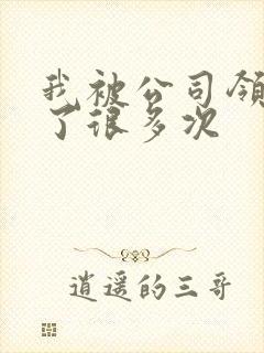 我被公司领导C了很多次