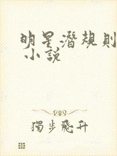 明星潜规则之皇 小说