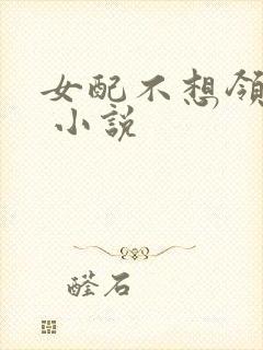 女配不想领便当 小说