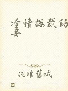 冷情总裁的出逃妻