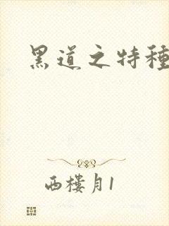 黑道之特种兵王