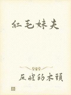 红毛妹夫