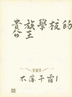 贵族学校的双面公主