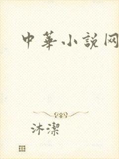 中华小说网