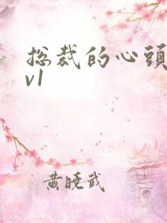 总裁的心头宝1v1