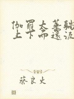 伽罗太华躺在床上下面还流东西