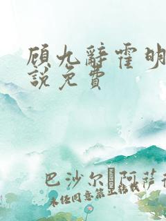 顾九辞霍明澈小说免费