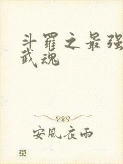 斗罗之最强治疗武魂