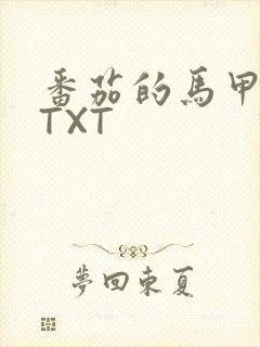 番茄的马甲小说TXT
