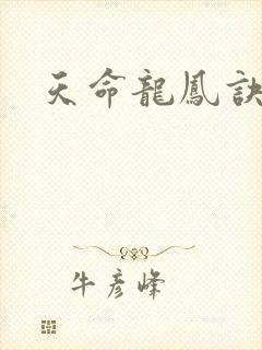 天命龙凤诀