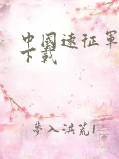 中国远征军全集下载