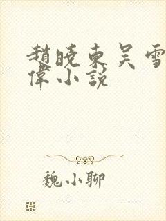 赵晓东吴雪晴郑伟小说