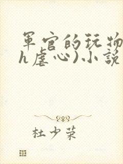 军官的玩物(高h虐心)小说