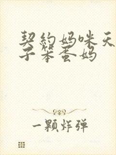 契约妈咪天才儿子笨蛋妈