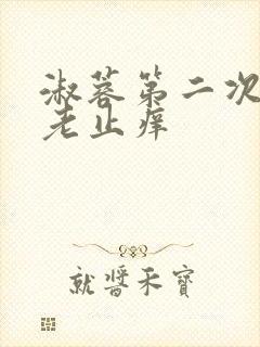 淑蓉第二次找卫老止痒