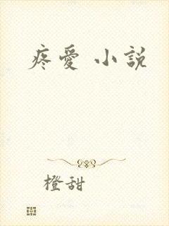 疼爱 小说