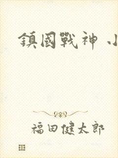 镇国战神 小说