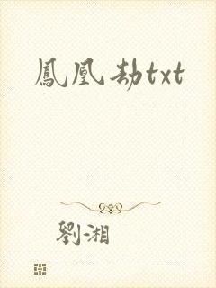 凤凰劫txt