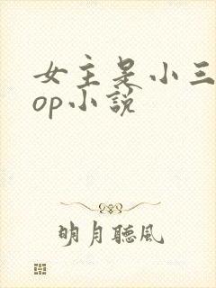 女主是小三的pop小说