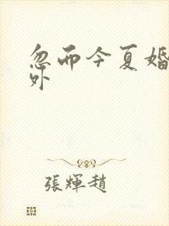忽而今夏婚后番外