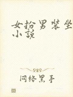 女扮男装坐江山小说