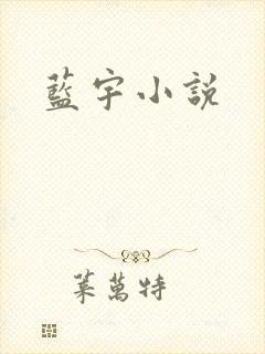 蓝宇小说