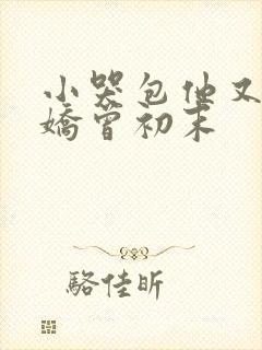 小哭包他又软又娇曾初末