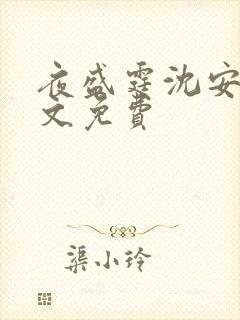 夜盛霆沈安然全文免费