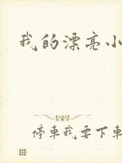 我的漂亮小后妈