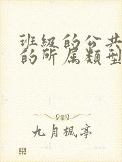 班级的公共小0的所属类型