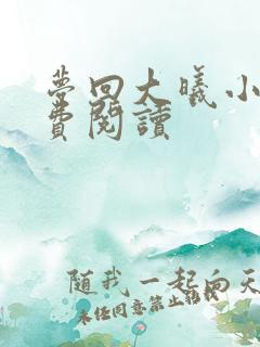 梦回大曦小说免费阅读