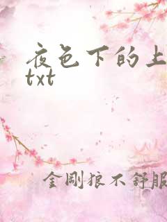 夜色下的上海滩txt