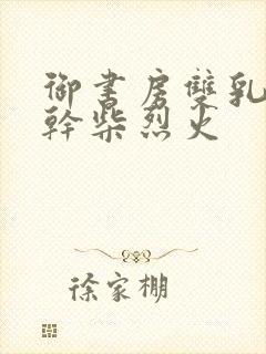 御书房双乳晃动干柴烈火