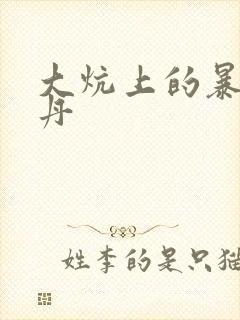 大炕上的暴伦小丹