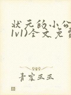 状元的小公主(1v1)全文免费阅读