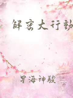 解密大行动