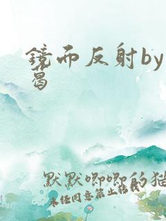 镜面反射by九葛