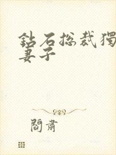 钻石总裁独宠小妻子