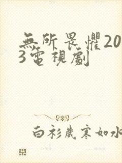 无所畏惧2023电视剧