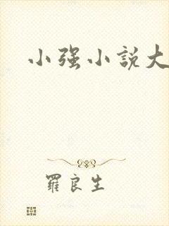 小强小说大全