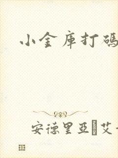 小金库打码平台